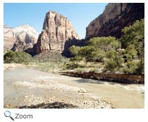 Great Basin Desert
