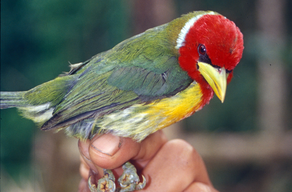 ECUADOR IMAGES