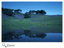 Pond