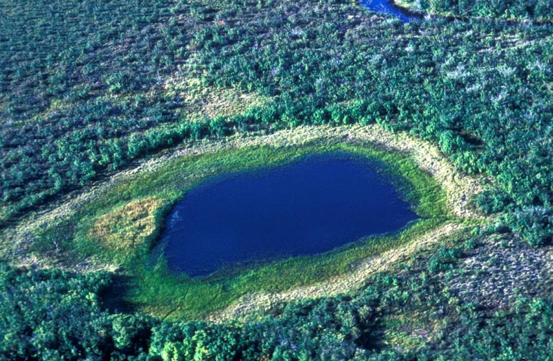 Ponds - NatureWorks