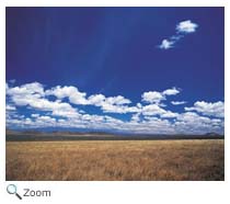 Asian Steppe
