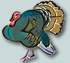 bird