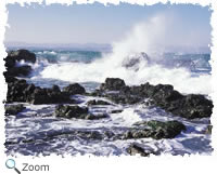 High Tide Zone