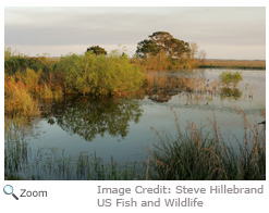 Wetlands