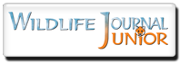 Wildlife Journal Junior!