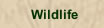 Wildlife