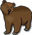 Image of bear