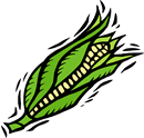 corn